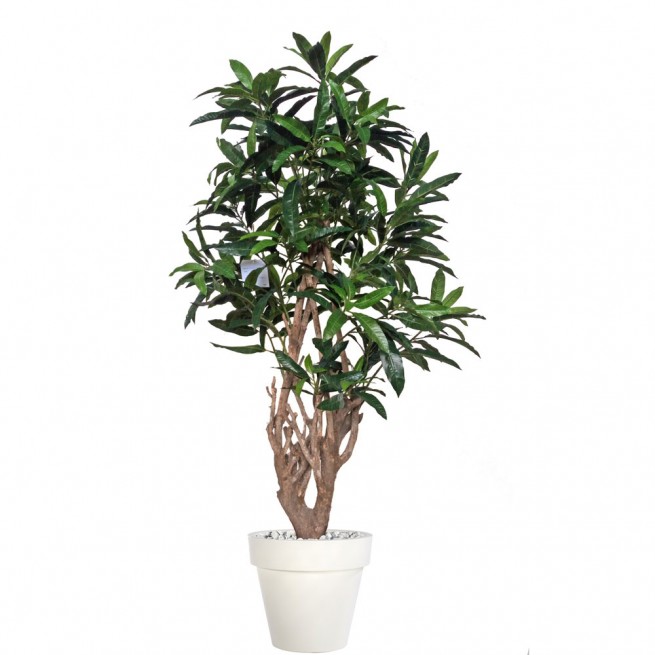 Planta semi-artificiala Ila, Mango Malabar Green - 150 cm